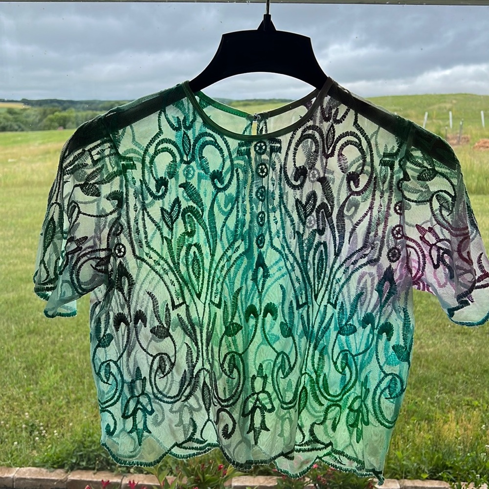 Sheer, multicolored crop top. Size L. Some stains, but still beautiful.